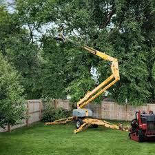 Best Emergency Tree Removal  in Alma, NE